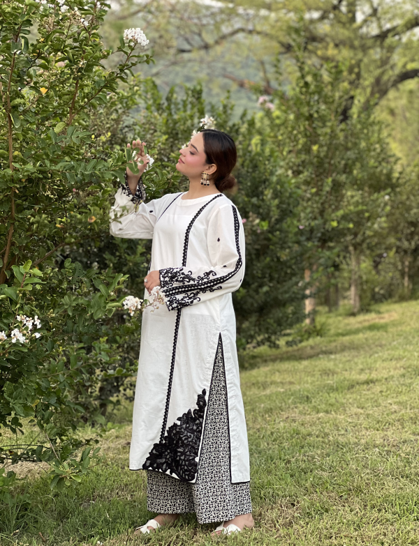 Shazia-e-Gul (D3PC031)